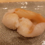 鮨 真菜 - 石垣貝