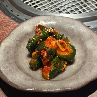 赤羽 友星 - 