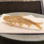 天ぷら岡本 - 天ぷら岡本(活稚鮎)