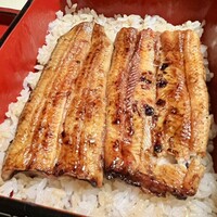 うなぎ割烹 大江戸 - 