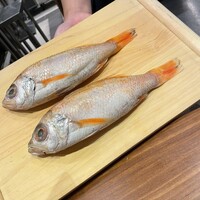 のどぐろの中俣 新橋 - 