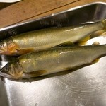 とく山 - ［５回目］鮎