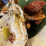 酒菜屋 しもちゃん - 