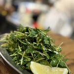 鉄鍋餃子 餃子の山崎 麻辣湯 - 