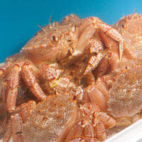 郷土料理 なが井 - 