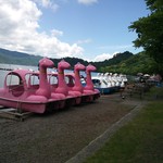 こもれび - おまけ② 衝撃！きょうりゅう♪