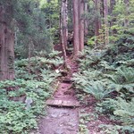 こもれび - おまけ⑥ いざ探検♪