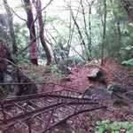 こもれび - おまけ⑦ (;･ω･);･ω･);･ω･)!!!