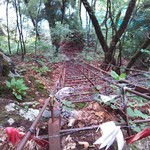 こもれび - おまけ⑧ (;´Д`);´Д`);´Д`)!!!!!