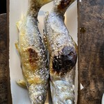 船場亭 - いわなと鮎を一尾ずつ頂きました。