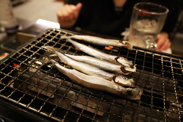 Akita Ekimae Shubou Guran Tan photo 5