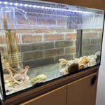 サンドミカムジャタン - 