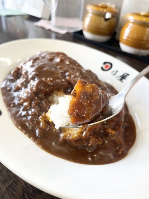 日乃屋カレー 北見公園町店 - 柏陽（カレー）の写真