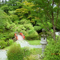 菊華荘 - 部屋から見える庭園