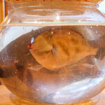 日本料理 別府 廣門 - 