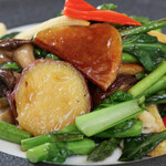 臥龍 - 色彩長津田野菜炒め