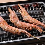 Red Shrimp Skewers