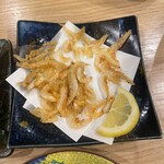 隠れ家居酒屋 富桜 - 