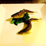 サルキッチン - 