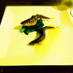 サルキッチン - 