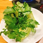 練馬 鳥長 新潟 - 