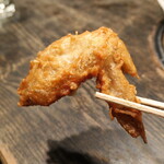 満月 - 手羽先が含まれているのも嬉しい。一皿で2つの味を楽しめる感じ