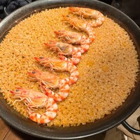 Potoro - 