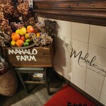 マハロ大人の隠れ家 - 