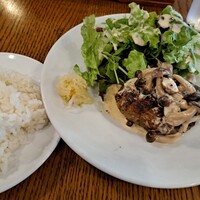 ブラチェリア バーヴァ - 