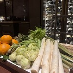 スガラボヴィー - 