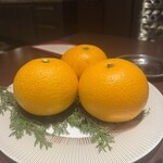 スガラボヴィー - 