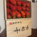 スガラボヴィー - 