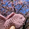 桜たいやき