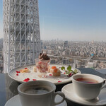 天空LOUNGE TOP of TREE - 