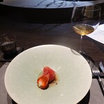 VERT - 古都姫、古都華