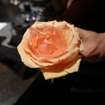 VERT - アプリコットフレグランス