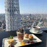 天空LOUNGE TOP of TREE - 