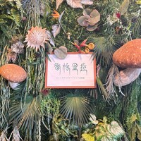 Shangri-La’s secret 表参道店 - 