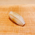 紀尾井町 三谷 - 