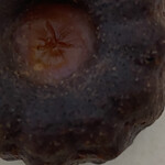 ノワ・ドゥ・ブール - 