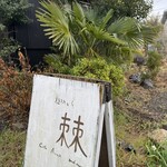 植物と人 棘 - 