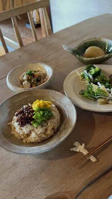 Shokubutsu to Hito Toge