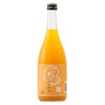 お出汁で食べる串かつと釜めしの専門店 ぎん庵 - 