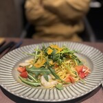 トレヴィーテ - 