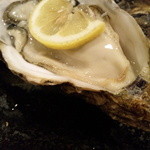 勝龍庵 肴家 くのり - 大粒