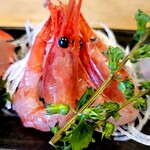 魚金寿司 すゞ木 - 甘えび。