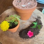 クルック フィールズ ダイニング - 