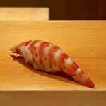 鮨 はしもと - 車海老 約45g 奄美大島の養殖
      口いっぱい人気頬張る大きさは、やはり45g前後ですよね！
      私の好みより大きめですが、茹でた火入れが実に良く甘みも豊かです♪