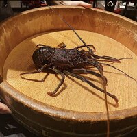 故宮 - 