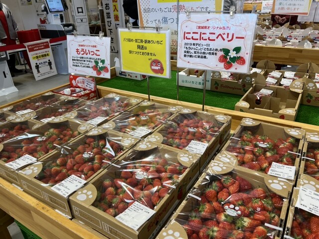 やまもと夢いちごの郷 - 坂元（その他）の写真